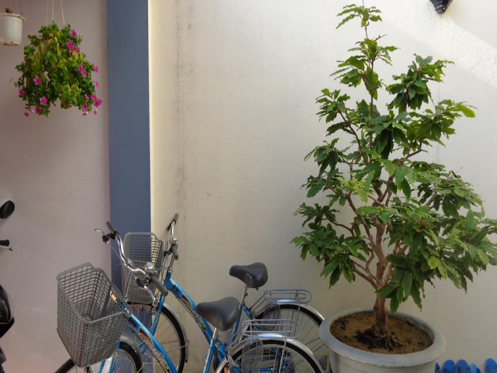 Banana Homestay ฮอยอัน ภายนอก รูปภาพ